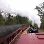 Texas State Railroad