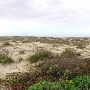 Boca Chica Beach & Dunes