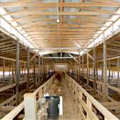 Former Williamson County Auction Barn