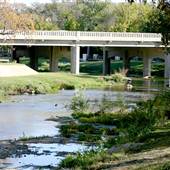 Nolan Creek Park