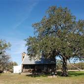Wiseman Farm