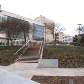 Main Street Garden