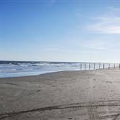 Beach Pocket Park #1