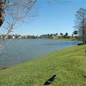 Nassau Bay City Park