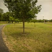 Pete's Path