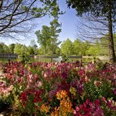 Clark Gardens Botanical Park