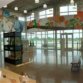 Delores Fenwick Nature Center