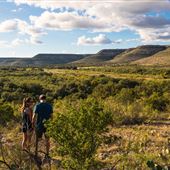 Chandler Ranch