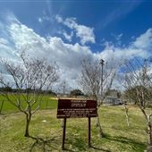 Pearson Park