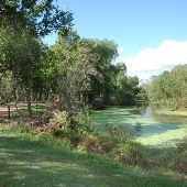 Brazos Bend State Park
