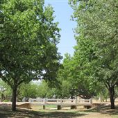 Miles City Park