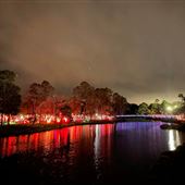 Festival of Lights