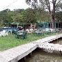 Ski Shores Cafe
