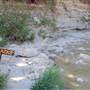 Dinosaur Valley State Park