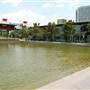 Discovery Green