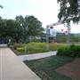 Discovery Green