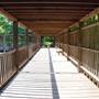 Fort Worth Botanic Garden - Japanese Garden