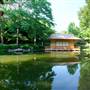 Fort Worth Botanic Garden - Japanese Garden