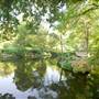 Fort Worth Botanic Garden - Japanese Garden