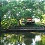 Fort Worth Botanic Garden - Japanese Garden