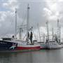Port of Palacios