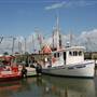 Port of Palacios