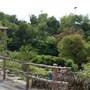 Japanese Tea Garden at Brackenridge Park