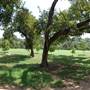 Pease District Park