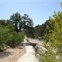 Pease District Park