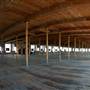 McKinney Cotton Mill