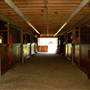 JR Stables