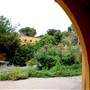 Fiesta Gardens