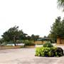 Fiesta Gardens