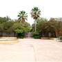 Fiesta Gardens