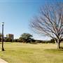 Texas A&M University