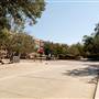 Texas A&M University