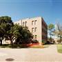 Texas A&M University