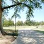 San Pedro Springs Park