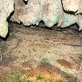 Cascade Caverns