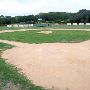 Sonny Gold Ball Park