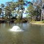 Japanese Garden in Hermann Park