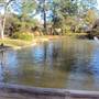 Japanese Garden in Hermann Park