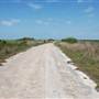 Matagorda Island