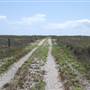 Matagorda Island