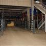 Mesquite Pro Rodeo