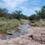 The Sandy Ranch
