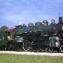 Texas State Railroad - 1911 Steam Train