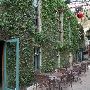 Cedar Street Courtyard