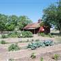 Peterson Community Garden