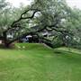 Hotel Saint Cecilia